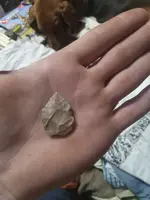 20240401_003756.webp