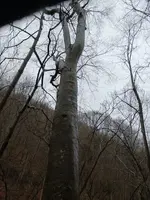 20230331_121607.webp