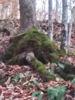 20231110_171650_HDR.webp