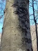 20230309_103951.webp