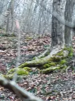 20230331_122717.webp