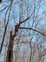 IMG_20230329_142924.webp