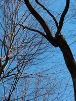 IMG_20230329_143132.webp