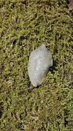 20240407_095535.webp