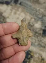20240407_203452.webp