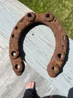 horse.webp