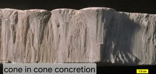 Cone-in-Cone.webp