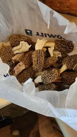 20240413_133007.webp