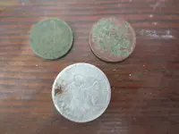 Coins reverese 041324.webp