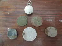 Finds 041324.webp Finds 041324.webp