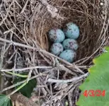 20240403_190422.webp