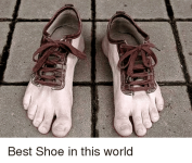 best-shoe-in-this-world-2915605.png