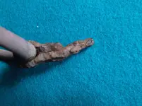 DSCF9035.webp