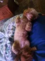 20240410_200019.webp
