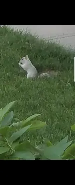 Screenshot_20240428_133904_Gallery.webp