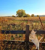 20231022_084331.webp