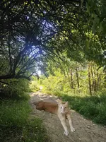 20230819_084604.webp