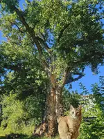 20230819_084319.webp