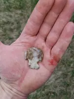 20190411_143055.webp