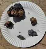 Rocks!2.webp