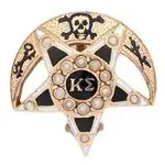 frat pin.webp