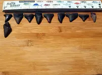 1714506613808.jpg