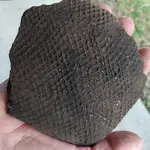 4-28-2024-HandSized-WithHatching-1-OutSide-2.webp