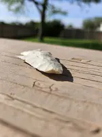 20240505_171547.webp