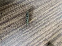 IMG_20240510_082224137.webp