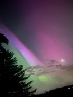 4C11CA33-5EDA-4597-863B-4A6E9C46B87A.webp