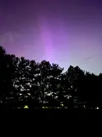 BF28C499-CE40-41D5-8BCF-B3B5A9718644.webp