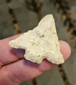 20240510_210742.webp