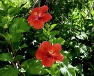 082817 1.webp