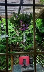 20230708_184751.webp