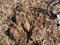 IH in Dirt.webp