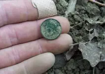 83 in dirt.webp