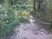 0910081717.webp