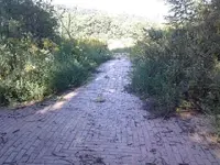 0910081718.webp