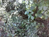 0910081733.webp