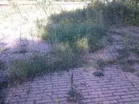 0910081734.webp