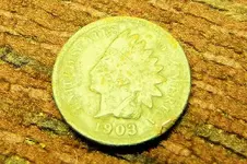 1903 Indian Head Penny.webp