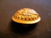 button80c.webp