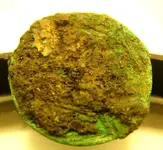 DSCN3235.webp