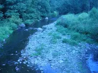 creek finds 001.webp