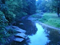 creek finds 002.webp