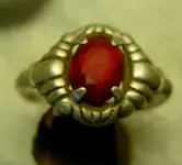 DSCN3241.webp