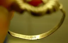 DSCN3242.webp