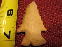 pinetree.webp