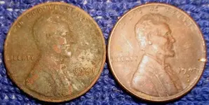 9-24-08 008wheats.webp