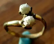 DSCN3254.webp